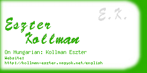 eszter kollman business card